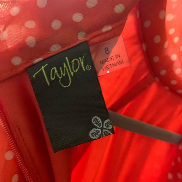 Taylor sleeveless halter neck flared hi low dress - Picture 4 of 6